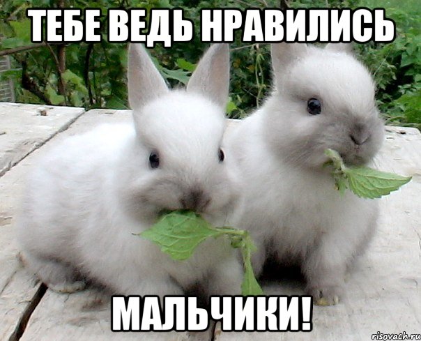 тебе ведь нравились мальчики!