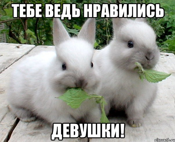 тебе ведь нравились девушки!