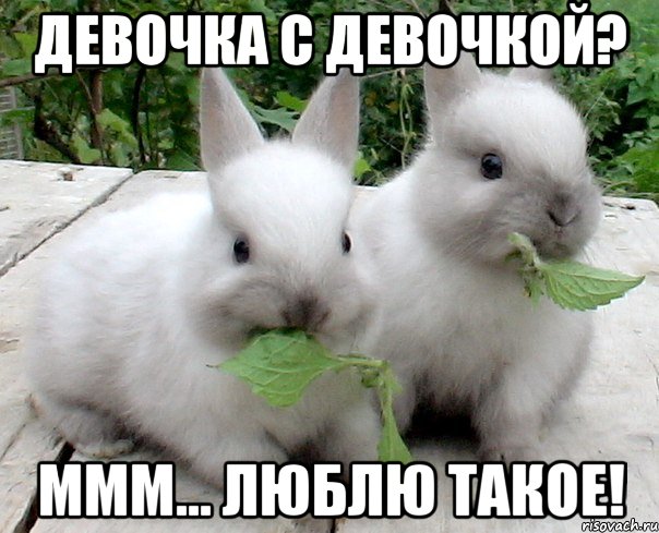 девочка с девочкой? ммм... люблю такое!