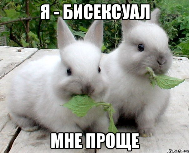 я - бисексуал мне проще