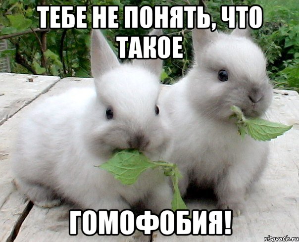тебе не понять, что такое гомофобия!
