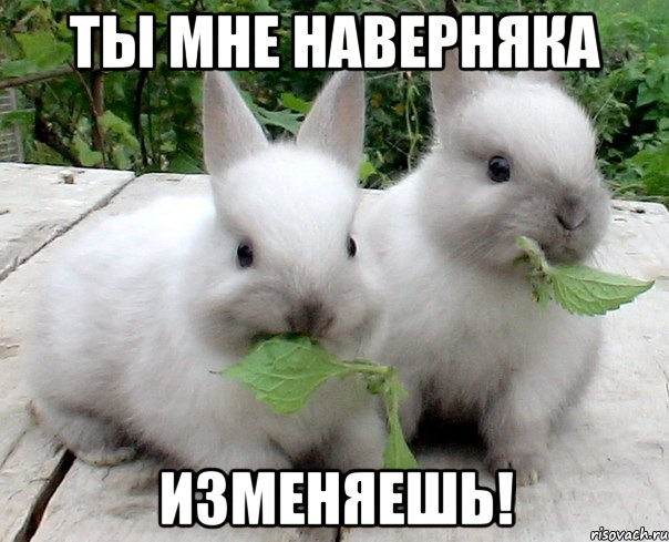 ты мне наверняка изменяешь!
