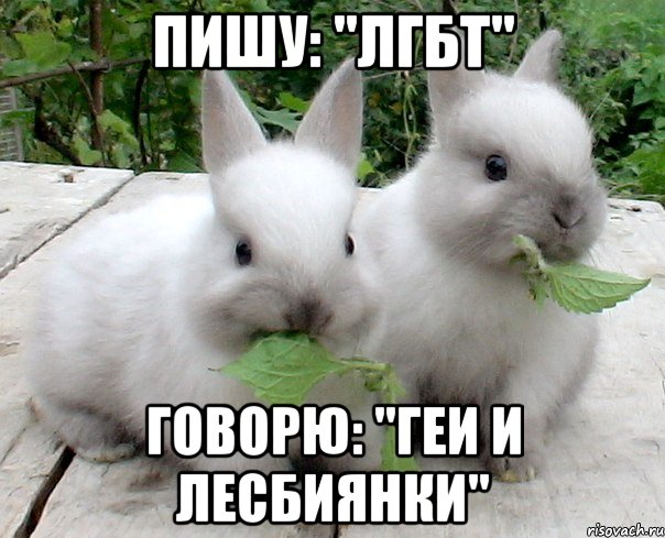 пишу: "лгбт" говорю: "геи и лесбиянки"