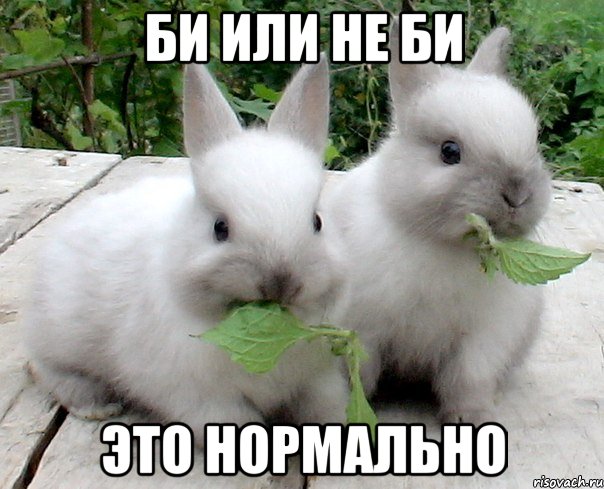 би или не би это нормально