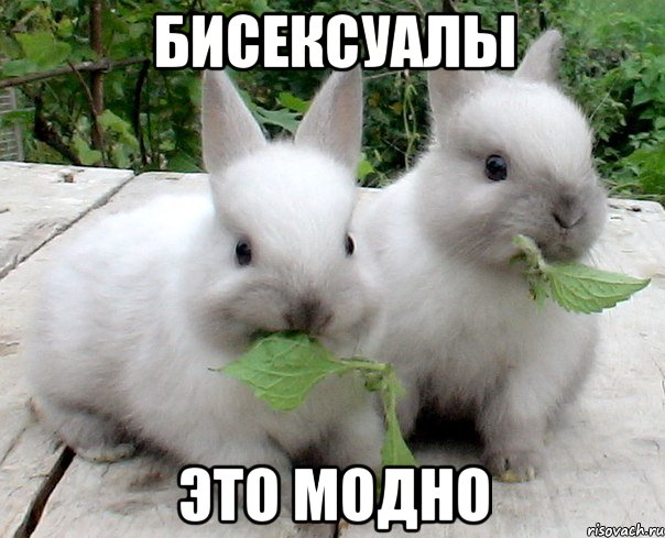 бисексуалы это модно