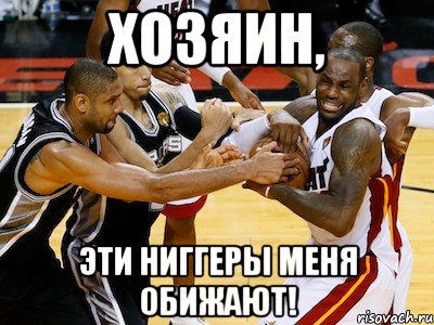 хозяин, эти ниггеры меня обижают!, Мем ЛеБрон
