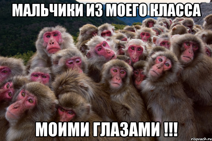 мальчики из моего класса моими глазами !!!, Мем Легион