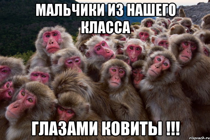 мальчики из нашего класса глазами ковиты !!!, Мем Легион