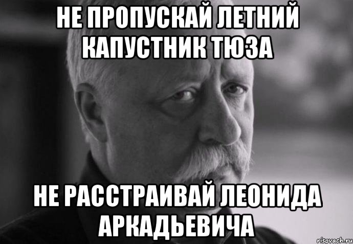 не пропускай летний капустник тюза не расстраивай леонида аркадьевича, Мем Не расстраивай Леонида Аркадьевича