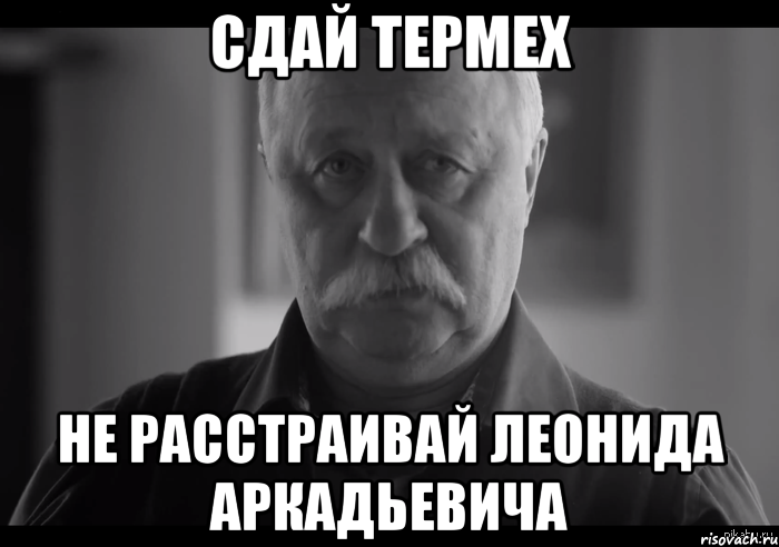 сдай термех не расстраивай леонида аркадьевича, Мем Не огорчай Леонида Аркадьевича