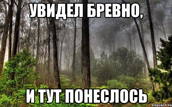 увидел бревно, и тут понеслось