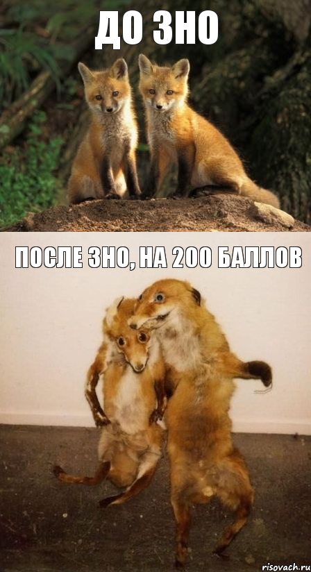 до ЗНО после ЗНО, на 200 баллов, Комикс Лисицы