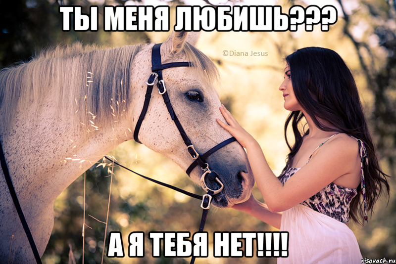 ты меня любишь??? а я тебя нет!!!