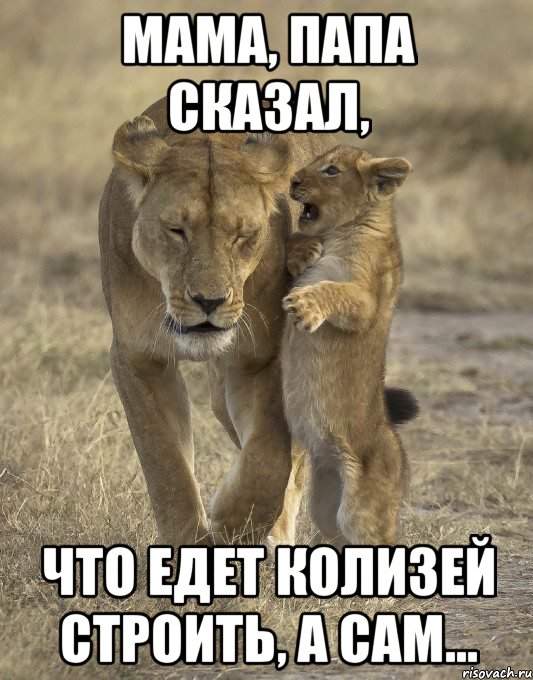 мама, папа сказал, что едет колизей строить, а сам...