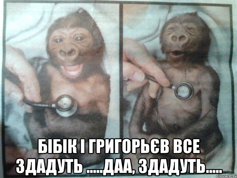  бібік і григорьєв все здадуть .....даа, здадуть....., Мем масло