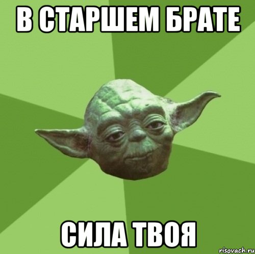 в старшем брате сила твоя