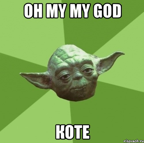 oh my my god коте