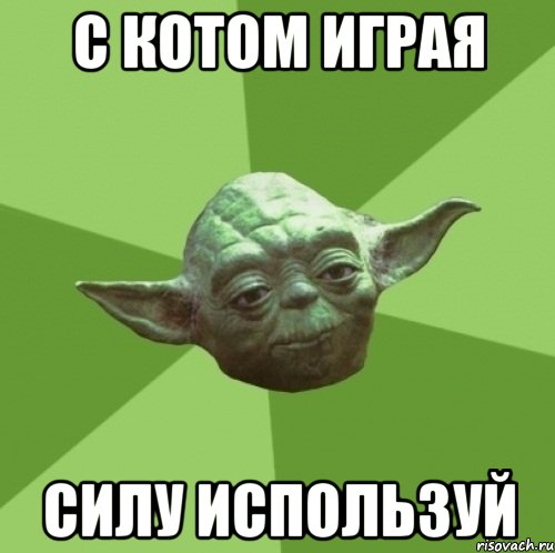с котом играя силу используй