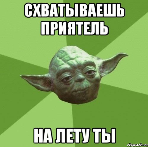 схватываешь приятель на лету ты