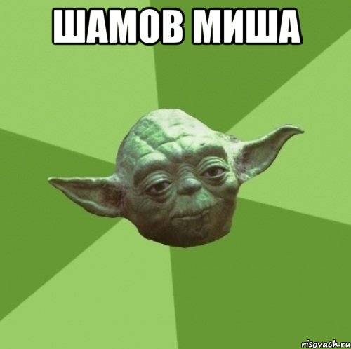 шамов миша 