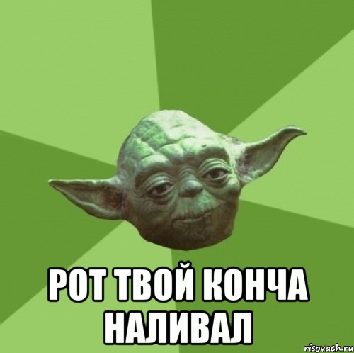  рот твой конча наливал, Мем Мастер Йода
