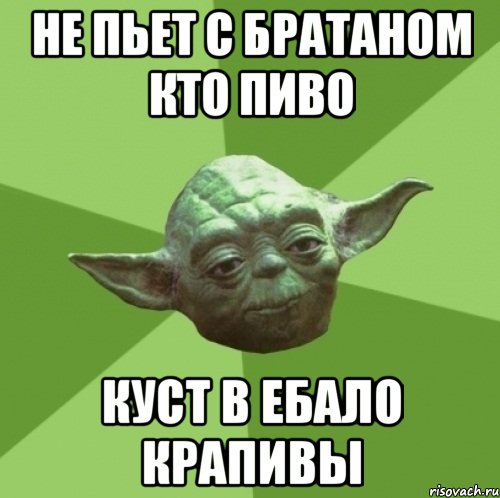 не пьет с братаном кто пиво куст в ебало крапивы