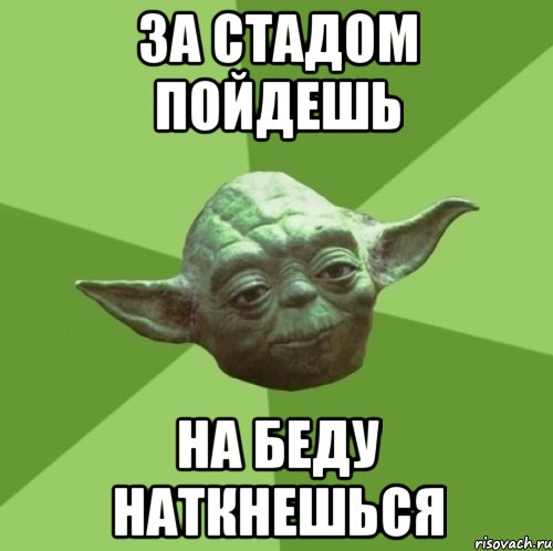 за стадом пойдешь на беду наткнешься