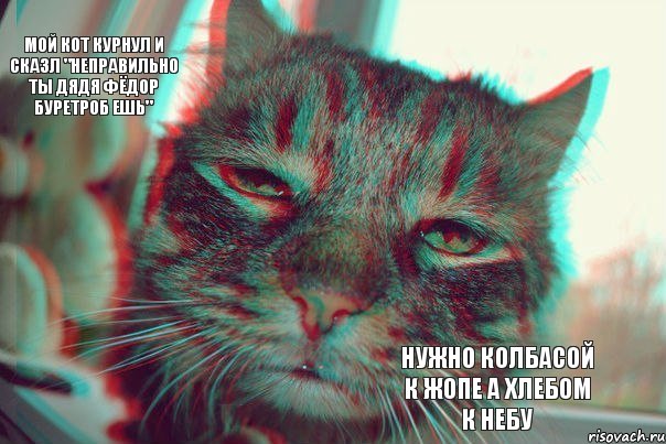 Мой кот курнул и сказл "Неправильно ты дядя Фёдор буретроб ешь"  Нужно колбасой к жопе а хлебом к небу, Комикс матроскин