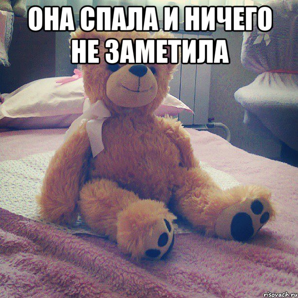 она спала и ничего не заметила , Мем медведь