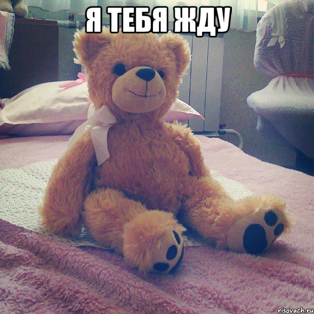 я тебя жду , Мем медведь