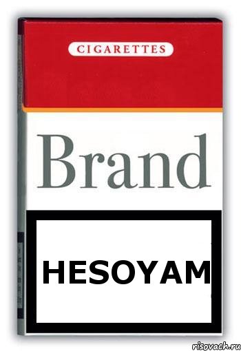 HESOYAM, Комикс Минздрав