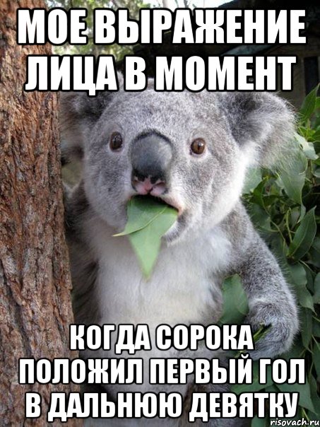 мое выражение лица в момент когда сорока положил первый гол в дальнюю девятку, Мем мм