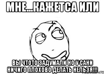 мне...кажетса или вы чтото задумали но у сани ничиго плохово делать нельзя!!!, Мем Мне кажется или