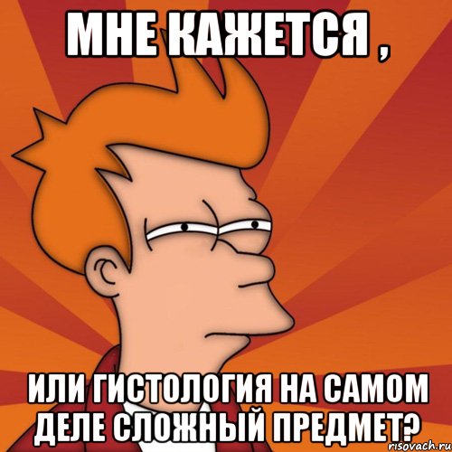 мне кажется , или гистология на самом деле сложный предмет?, Мем Мне кажется или (Фрай Футурама)