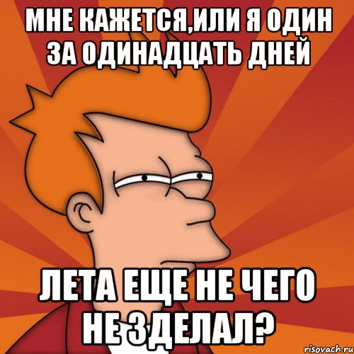 мне кажется,или я один за одинадцать дней лета еще не чего не зделал?, Мем Мне кажется или (Фрай Футурама)