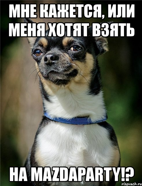 мне кажется, или меня хотят взять на mazdaparty!?, Мем Мне кажется или меня хотят взять