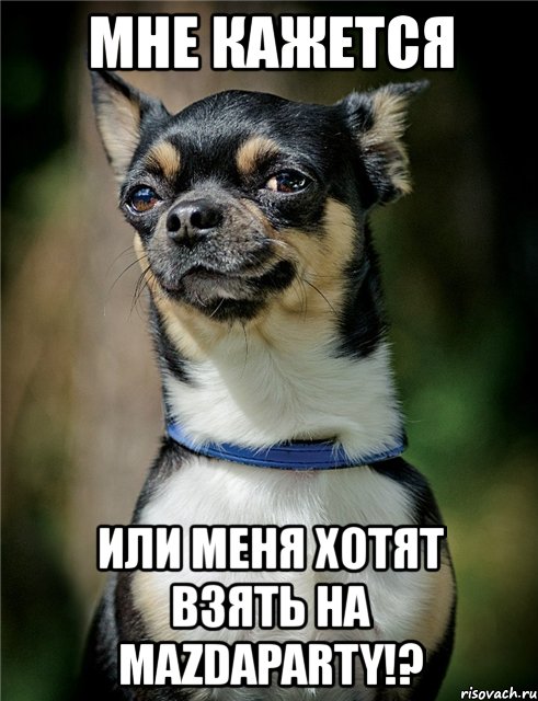 мне кажется или меня хотят взять на mazdaparty!?, Мем Мне кажется или меня хотят взять