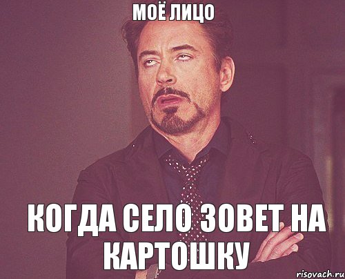 МОЁ ЛИЦО КОГДА село зовет на картошку, Мем твое выражение лица