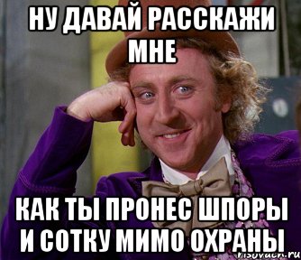 ну давай расскажи мне как ты пронес шпоры и сотку мимо охраны, Мем мое лицо