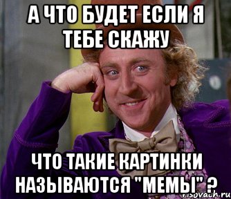 а что будет если я тебе скажу что такие картинки называются "мемы" ?, Мем мое лицо