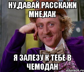 ну,давай расскажи мне,как я залезу к тебе в чемодан, Мем мое лицо