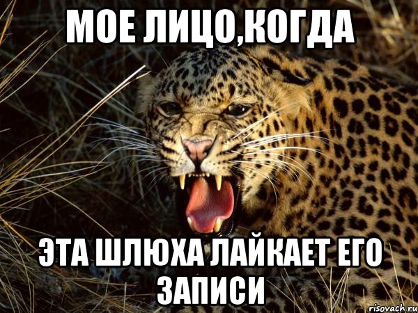 мое лицо,когда эта шлюха лайкает его записи, Мем Мое лицо