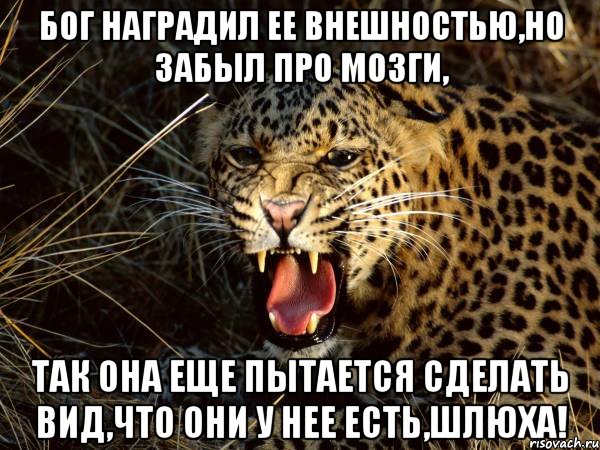 бог наградил ее внешностью,но забыл про мозги, так она еще пытается сделать вид,что они у нее есть,шлюха!, Мем Мое лицо
