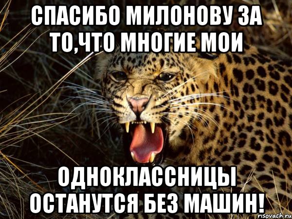 спасибо милонову за то,что многие мои одноклассницы останутся без машин!, Мем Мое лицо