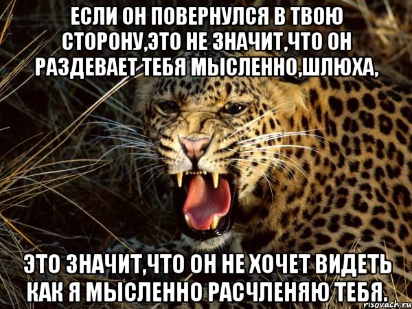 если он повернулся в твою сторону,это не значит,что он раздевает тебя мысленно,шлюха, это значит,что он не хочет видеть как я мысленно расчленяю тебя., Мем Мое лицо