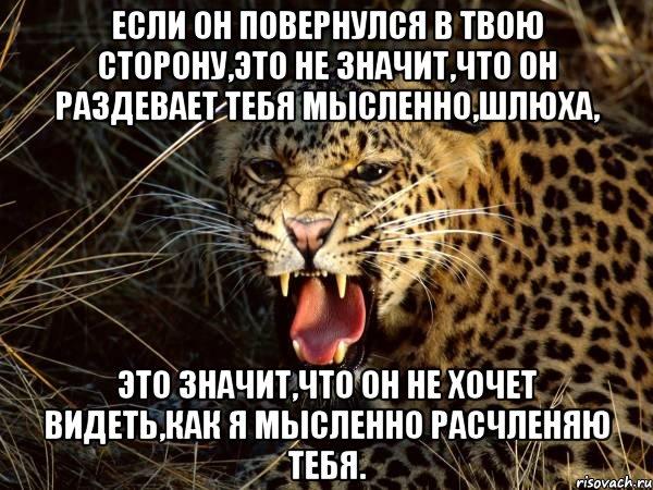 если он повернулся в твою сторону,это не значит,что он раздевает тебя мысленно,шлюха, это значит,что он не хочет видеть,как я мысленно расчленяю тебя., Мем Мое лицо