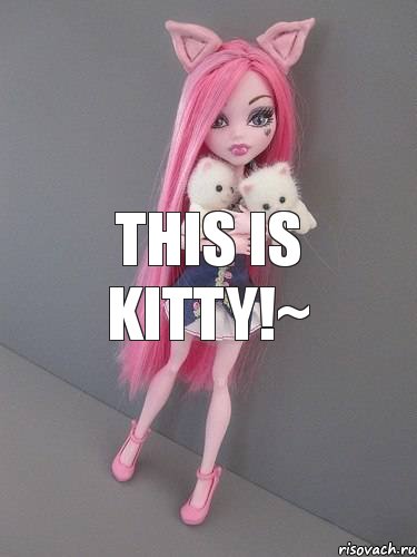 This is KITTY!~