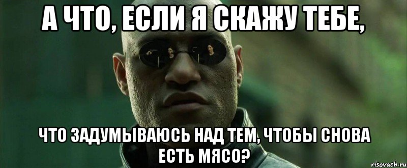 а что, если я скажу тебе, что задумываюсь над тем, чтобы снова есть мясо?, Мем  морфеус