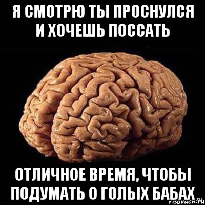 я смотрю ты проснулся и хочешь поссать отличное время, чтобы подумать о голых бабах