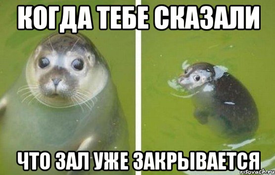 когда тебе сказали что зал уже закрывается, Мем мсипн